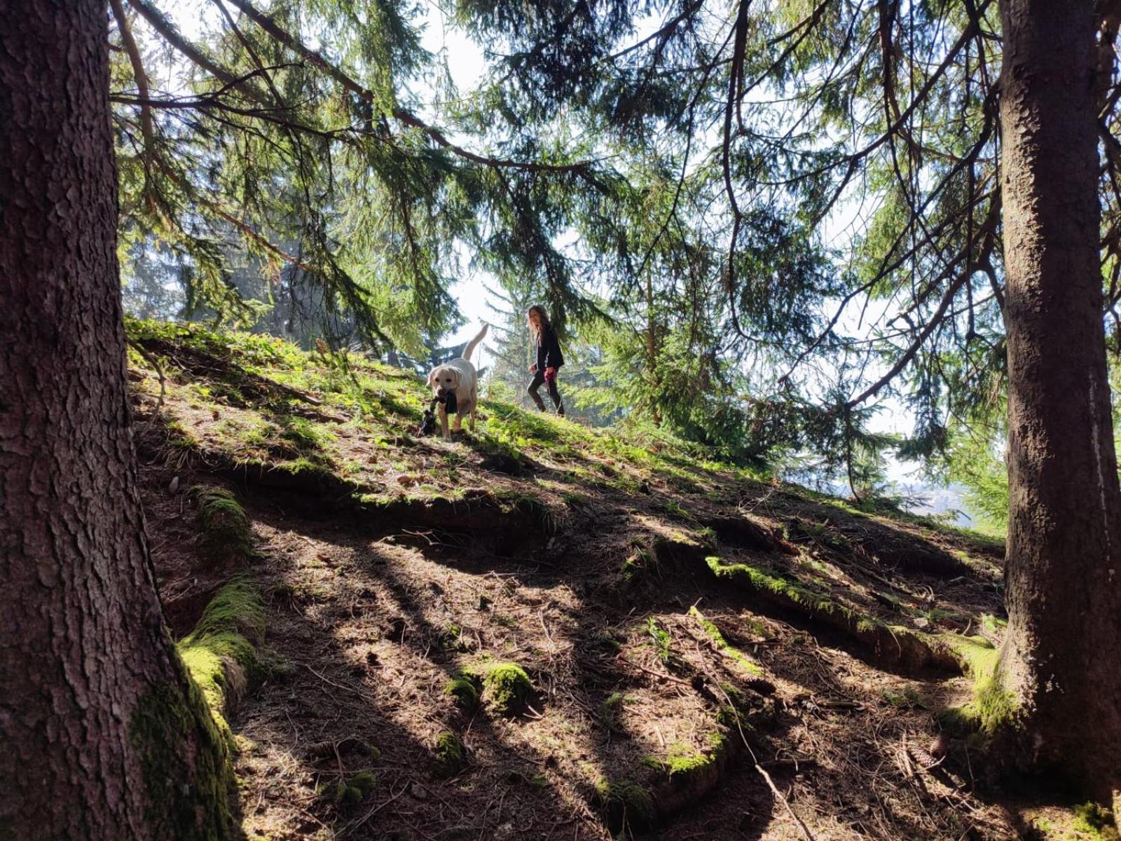 Sonnen-Juwel - Hallenbad-Sauna-2 Getrennte Schlafbereiche-Direkt An Der Skipiste Missen-Wilhams Exterior foto
