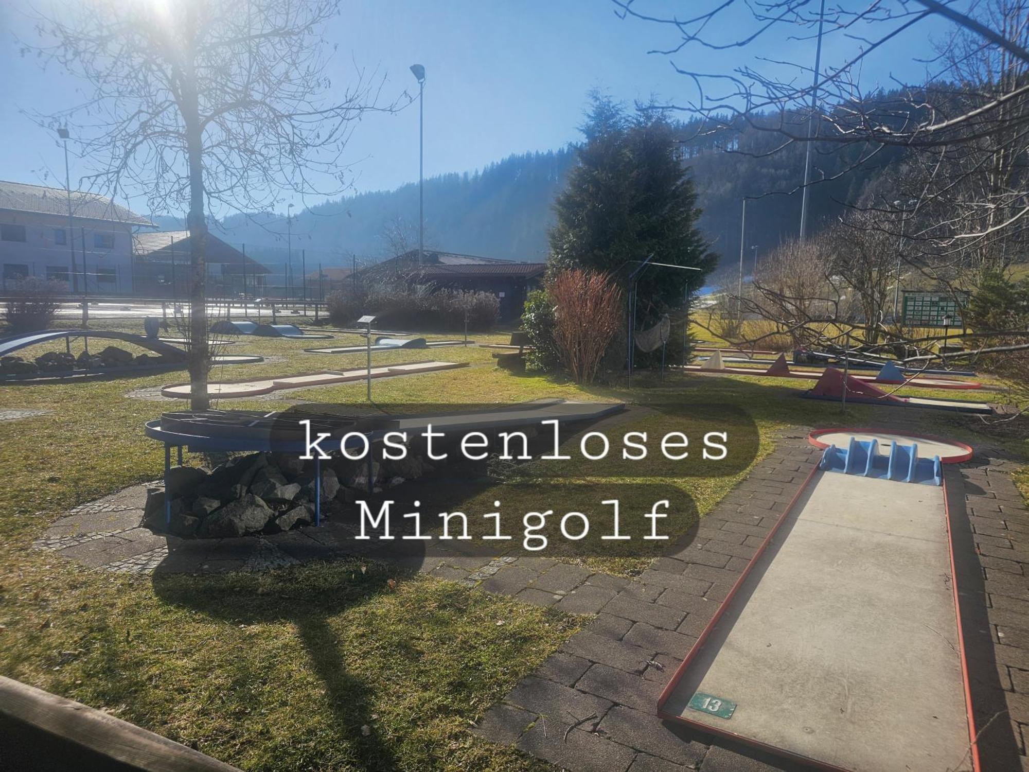 Sonnen-Juwel - Hallenbad-Sauna-2 Getrennte Schlafbereiche-Direkt An Der Skipiste Missen-Wilhams Exterior foto